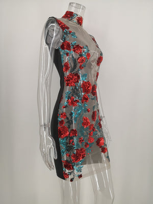 Rose Sequin Sheer Fashion Dress